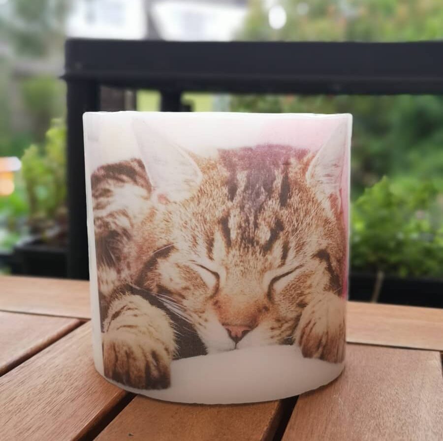 Lantern with photo of sleeping cat