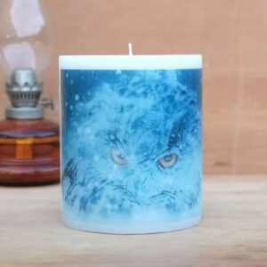 Pillar candle with an Owl picture.