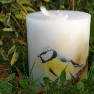 Pillar candle with a Blue Tit picture.