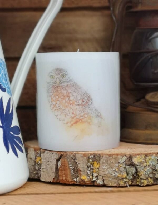 Pillar candle with a Tawny Owl picture.