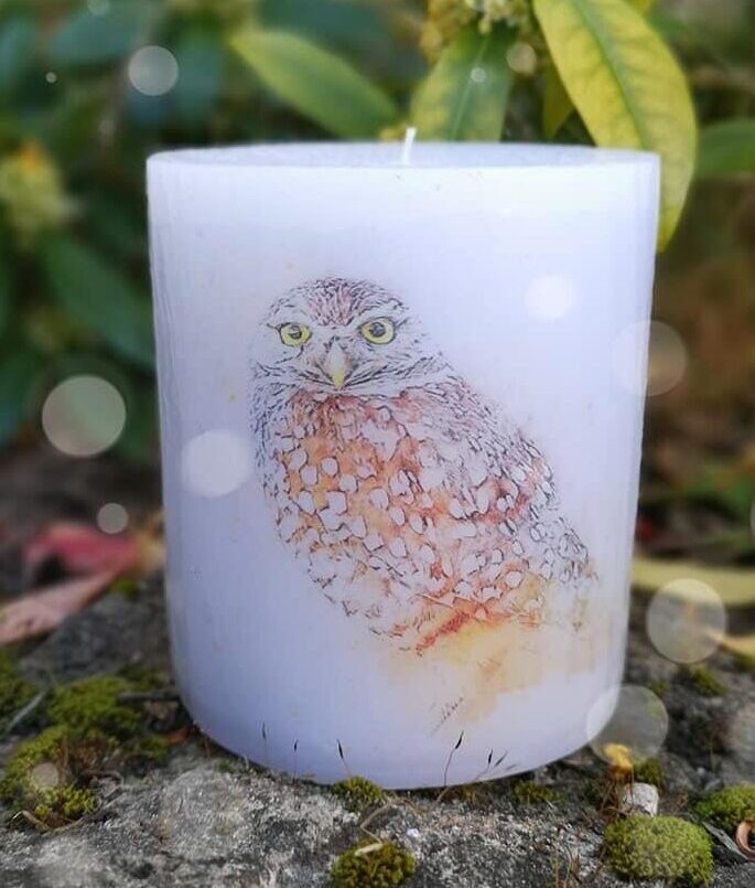 Candle with picture of tawny owl