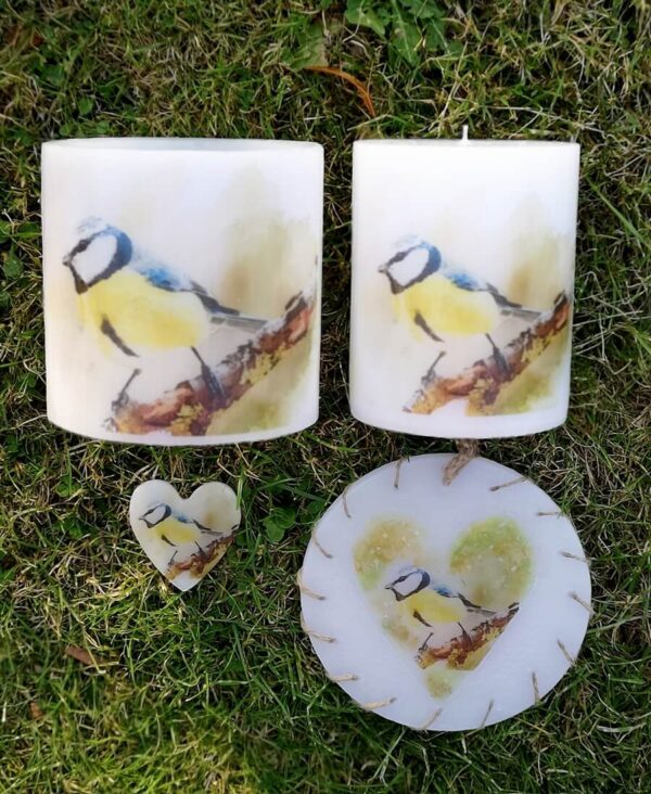 Gift set with image of Blue Tit.