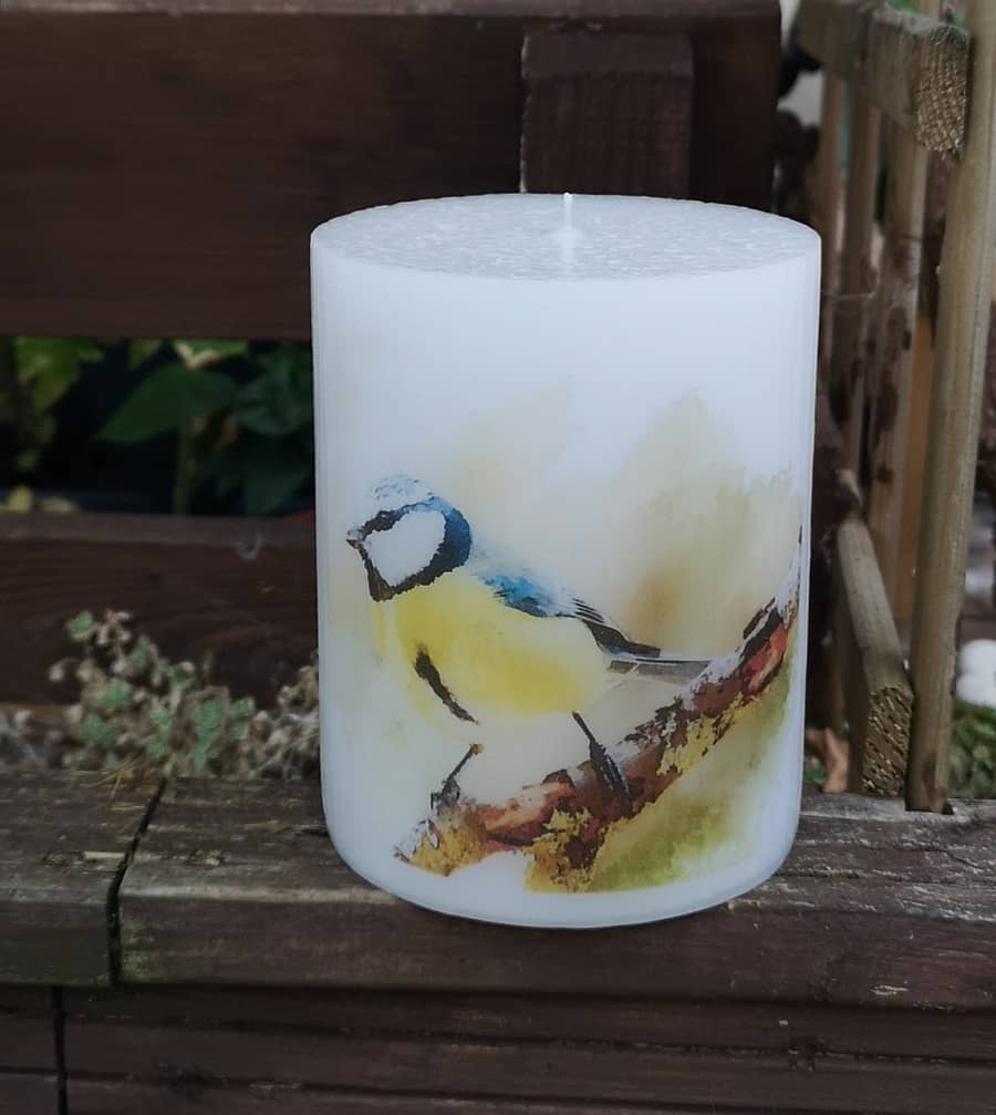 Candle with picture of blue tit