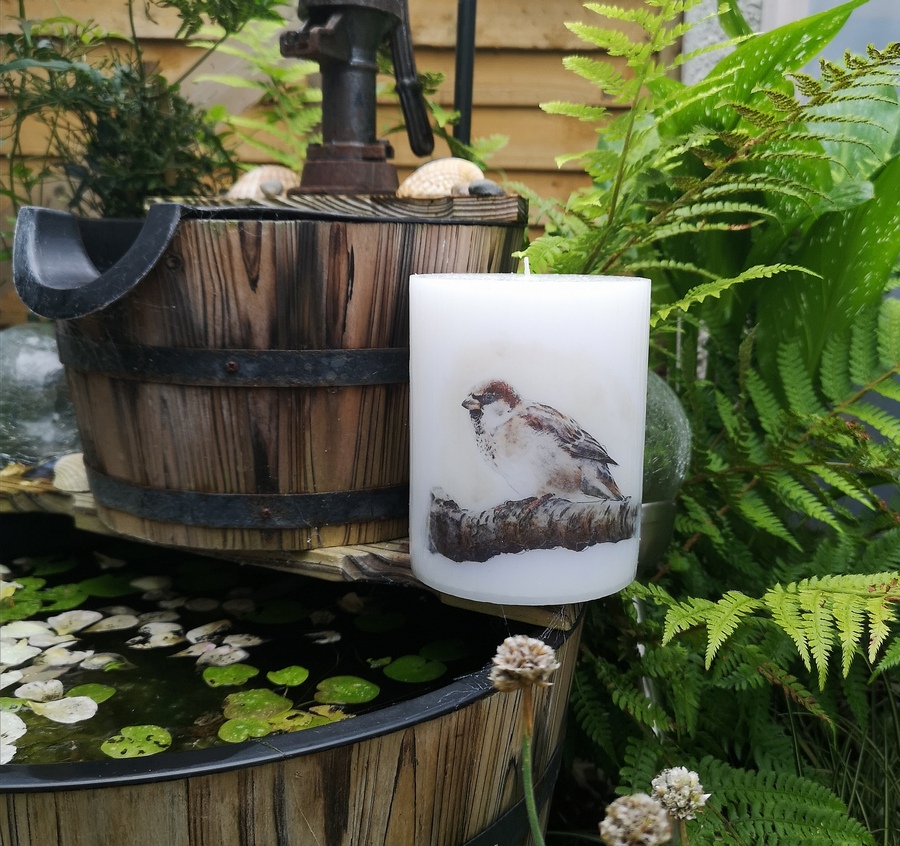 Pillar candle with a Sparrow picture.