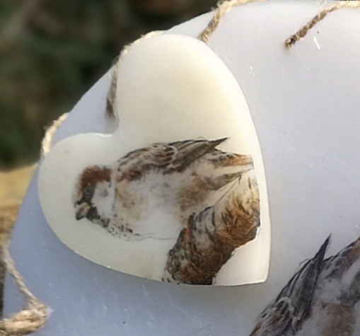 Fridge magnet with image of Sparrow