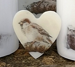 Fridge magnets with a Sparrow picture.