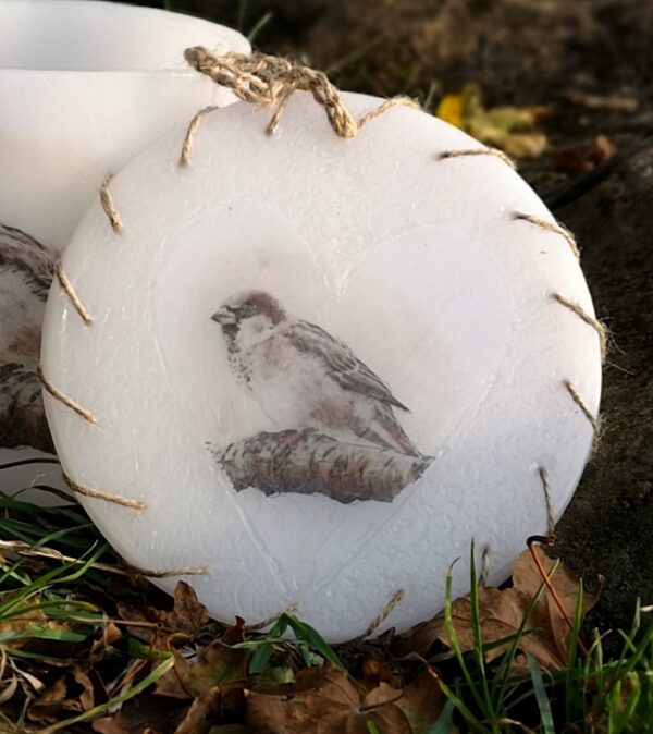 Wax ornament with a picture of Sparrow.
