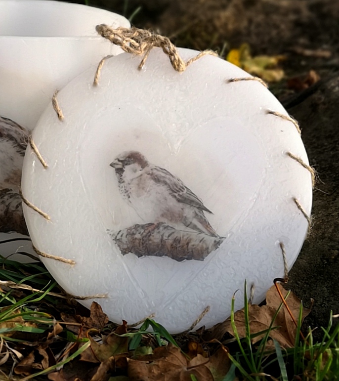 Round wax wall decoration with image of Sparrow