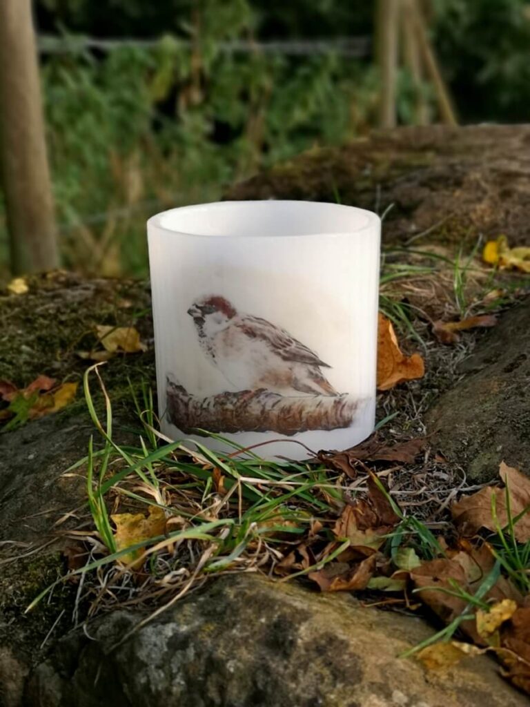 Big wax lantern with a Sparrow picture.
