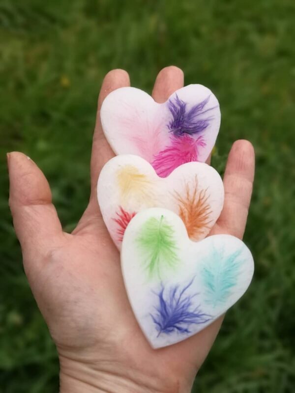 Set of 3 fridge magnets with coloured feathers.