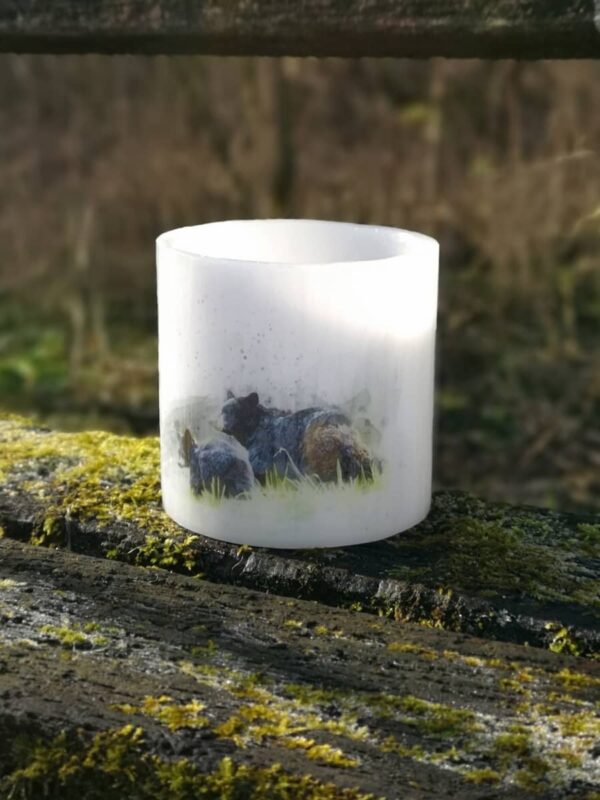 Wax lantern with a picture of Bears.