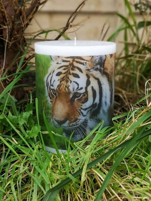 Pillar photo candle with images of tiger.