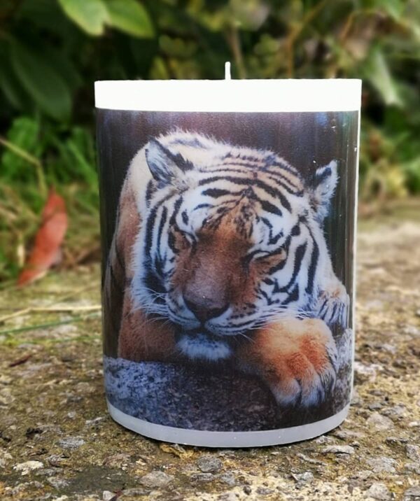 Pillar photo candle with images of tiger.