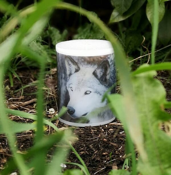 Pillar photo candle with images of wolves.