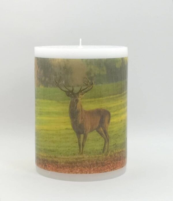 Pillar photo candle with deer images.