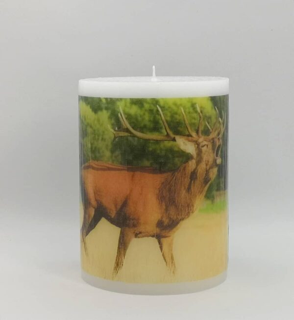 Pillar photo candle with deer images.