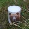 Pillar photo candle with Bear images.