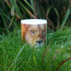 Pillar photo candle with Lion images.
