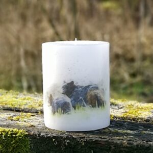 Pillar candle with a picture of Bears.