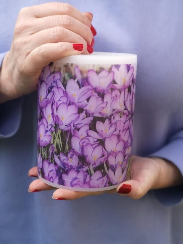 Pillar candle with a picture of Crocuses.
