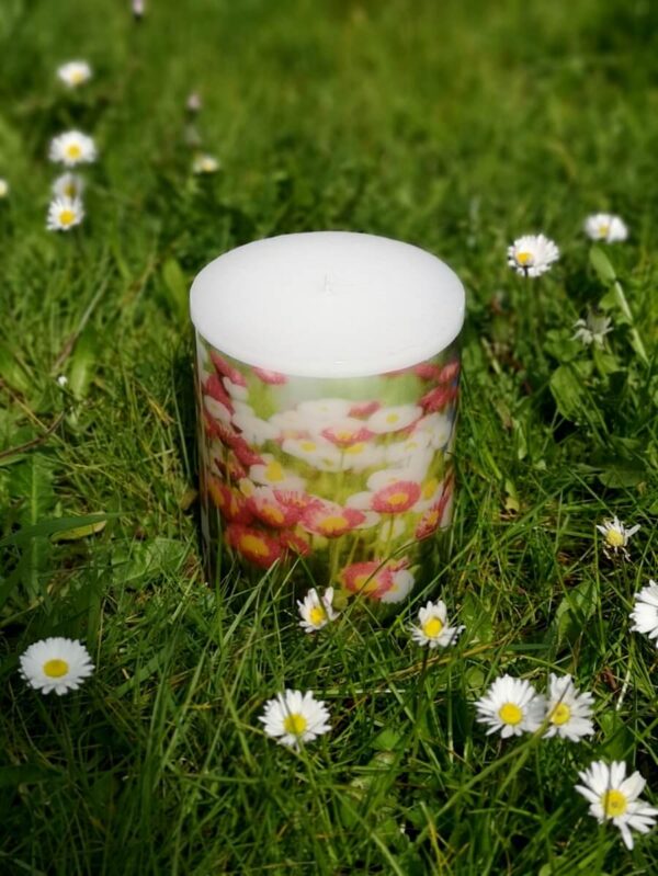 Pillar candle with a picture of Daisies.